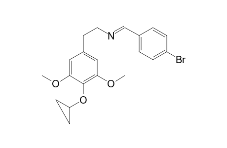 CP N-(4-bromobenzyl)-A (-2H)