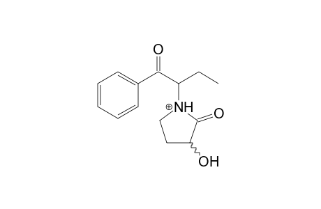 alpha-PBP-M (oxo-HO-glucuronide) MS3_1