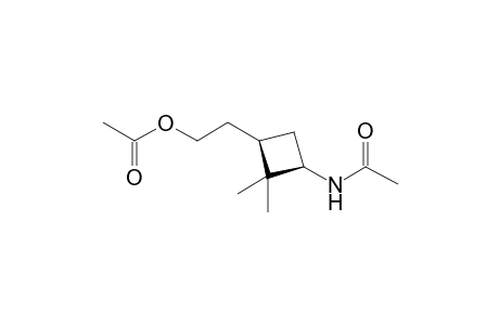 [3'-Acetamido-2',2'-dimethylcyclobutyl]ethyl acetate