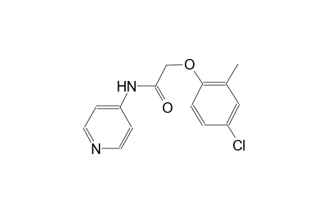 2-(4-chloro-2-methylphenoxy)-N-(4-pyridinyl)acetamide