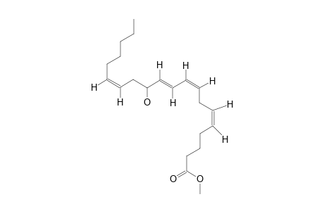 METHYL-12S-HYDROXYEICOSA-5Z,8Z,10E,14Z-TETRAENOATE