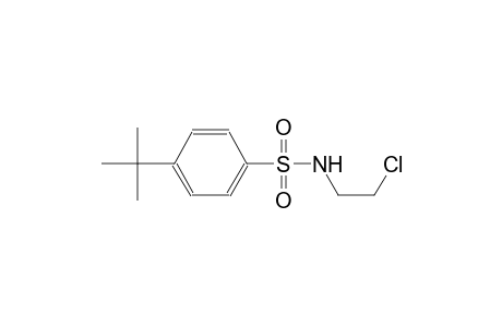 benzenesulfonamide, N-(2-chloroethyl)-4-(1,1-dimethylethyl)-
