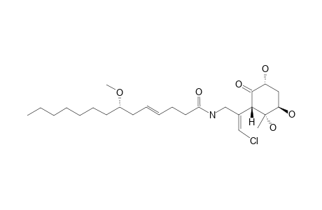 MALYNGAMIDE_2