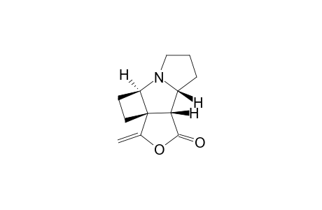 9-Methylene-7,8-ethylidene-6-aza-10-oxatricyclo[6.3.0.0(2,6)]undecan-11-one