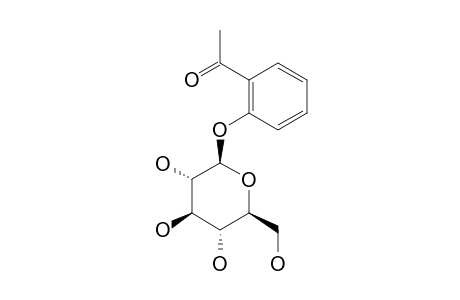 ACETOPHENONE-2-O-BETA-D-GLUCOPYRANOSIDE