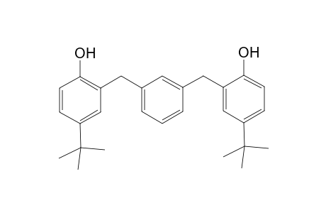 1,3-Bis(5-t-butylsilicyl)benzene