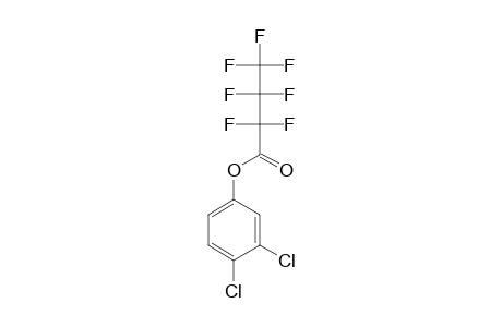 3,4-Dichlorophenol, heptafluorobutyrate