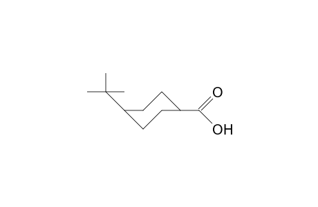 cis-4-tert-Butyl-cyclohexanecarboxylic acid