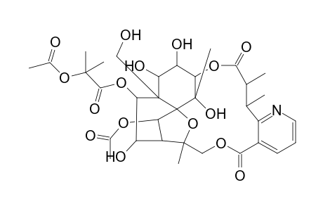 Evonine, O1,O2,O9,O15-tetradeacetyl-8-deoxo-8-hydroxy-, 9-[2-(acetyloxy)-2-methylpropanoate], (8.alpha.)-