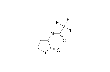 L-Homoserine lactone, N-trifluoroacetyl-