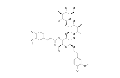 INCANOSIDE-E;#4;1-O-(3-METHOXY-4-HYDROXYPHENYL)-ETHYL-O-BETA-D-GLUCOPYRANOSYL-(1->2)-ALPHA-L-RHAMNOPYRANOSYL-(1->3)-4-O-FERULOYL-BETA-D-GLUCOPYRANOSIDE