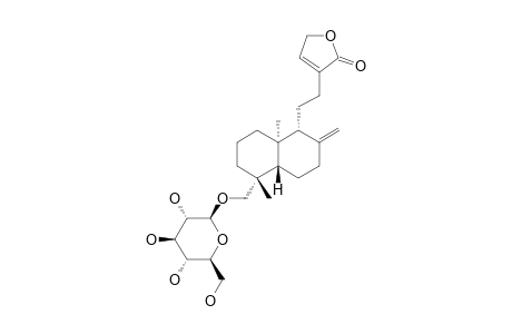 18-BETA-D-GLUCOPYRANOSYLOXY-8-(17),13-ENT-LABDADIEN-16,15-OLIDE