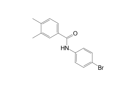 N-(4-Bromo-phenyl)-3,4-dimethyl-benzamide