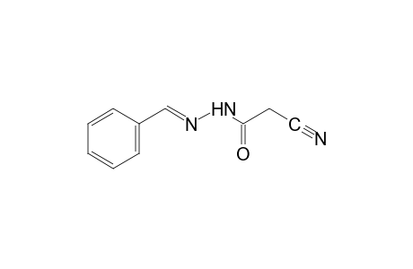cyanoacetic acid, benzylidenehydrazide