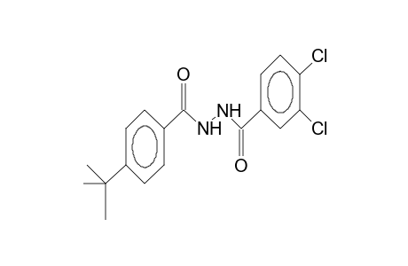 1-(4-tert-butylbenzoyl)-2-(3,4-dichlorobenzoyl)hydrazine