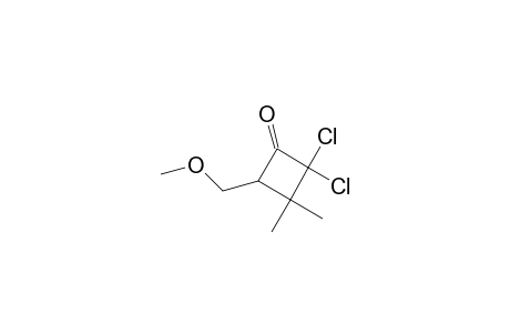 2,2-bis(chloranyl)-4-(methoxymethyl)-3,3-dimethyl-cyclobutan-1-one