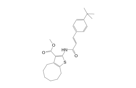methyl 2-{[(2E)-3-(4-tert-butylphenyl)-2-propenoyl]amino}-4,5,6,7,8,9-hexahydrocycloocta[b]thiophene-3-carboxylate