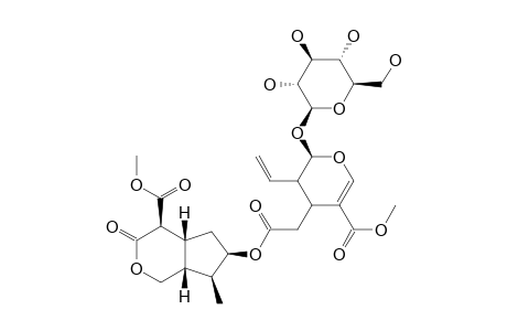 ASAOLASIDE;4S-[4-ALPHA,4A-ALPHA,6-ALPHA-(2R',3S',4R')-7-ALPHA,7A-ALPHA]-6-[[[3-ETHENYL-2-(BETA-D-GLUCOPYRANOSYLOXY)-3,4-DIHYDRO-5-(METHOXYCARBONYLO