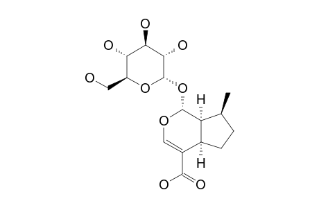1,5,9-EPIDEOXYLOGANIC ACID