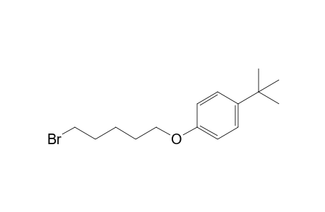 Benzene, 1-[(5-bromopentyl)oxy]-4-(1,1-dimethylethyl)-