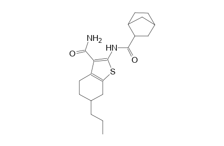 2-[(bicyclo[2.2.1]hept-2-ylcarbonyl)amino]-6-propyl-4,5,6,7-tetrahydro-1-benzothiophene-3-carboxamide
