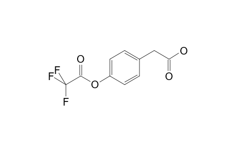 4-Hydroxyphenylacetic acid TFA    @