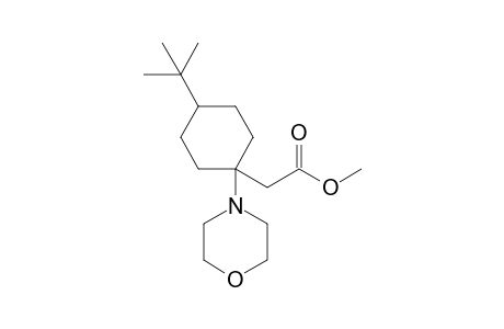 Methyl (4-tert-Butyl-1-morpholinocyclohexyl)acetate
