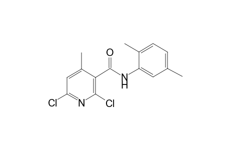 2,6-bis(chloranyl)-N-(2,5-dimethylphenyl)-4-methyl-pyridine-3-carboxamide