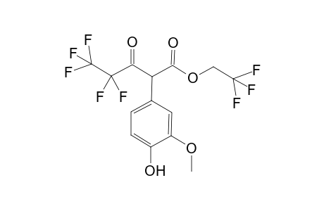 HVA-TFE-PFP