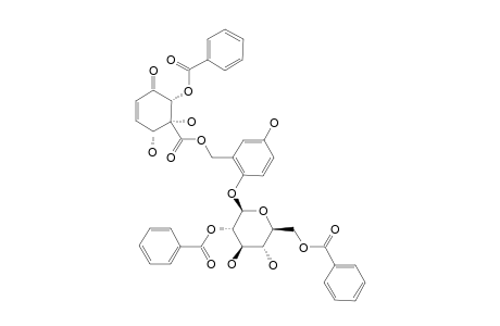 FLACOURTOSIDE_F