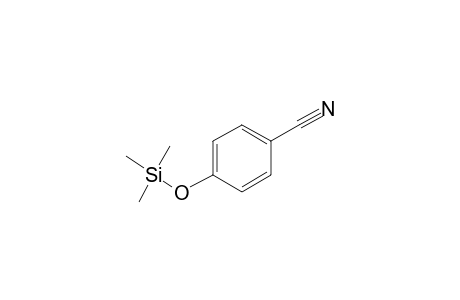 Benzonitrile <4-hydroxy->, mono-TMS
