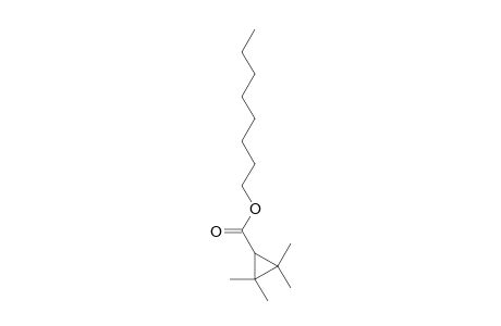 2,2,3,3-tetramethyl-1-cyclopropanecarboxylic acid octyl ester