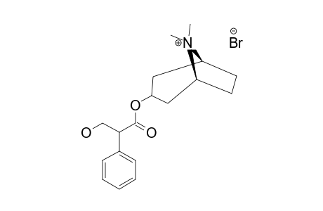 METHYLATROPINBROMIDE