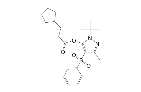 1-tert-butyl-3-methyl-4-(phenylsulfonyl)-1H-pyrazol-5-yl 3-cyclopentylpropanoate