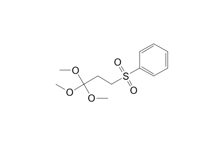 Trimethyl 3-(phenylsulfonyl)orthopropionate