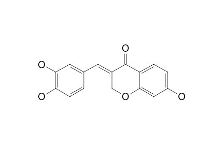 (E)-3-(3,4-DIHYDROXY-BENZYLIDENE)-7-HYDROXY-CHROMAN-4-ONE