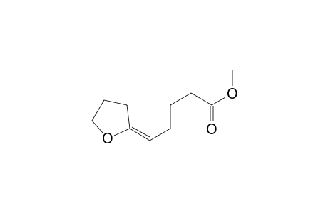 Pentanoic acid, 5-(dihydro-2(3H)-furanylidene)-, methyl ester, (E)-