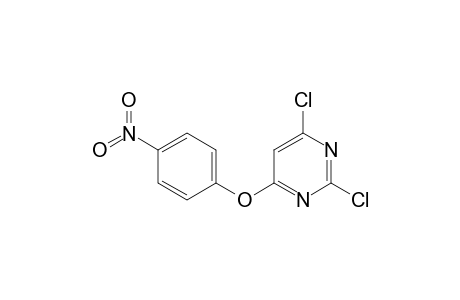 2,4-bis(chloranyl)-6-(4-nitrophenoxy)pyrimidine