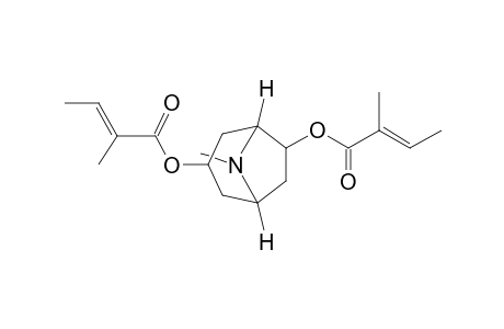 3,6-Ditigloyloxytropane