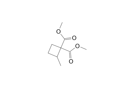 Dimethyl 2-methyl-1,1-cyclobutanedicarboxylate