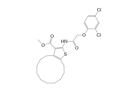 methyl 2-{[(2,4-dichlorophenoxy)acetyl]amino}-4,5,6,7,8,9,10,11,12,13-decahydrocyclododeca[b]thiophene-3-carboxylate
