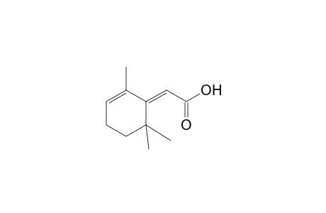 2-Cyclohexene-delta1,alpha-acetic acid, 2,6,6-trimethyl-
