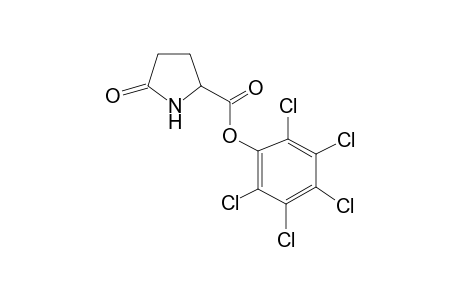 2,3,4,5,6-Pentachlorophenyl 5-oxo-2-pyrrolidinecarboxylate