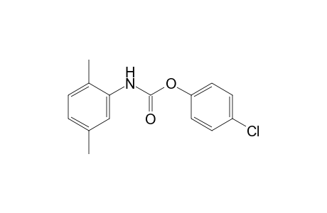 2,5-dimethylcarbanilic acid, p-chlorophenyl ester
