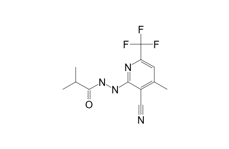 N'-[3-cyano-4-methyl-6-(trifluoromethyl)-2-pyridyl]-2-methyl-propionohydrazide