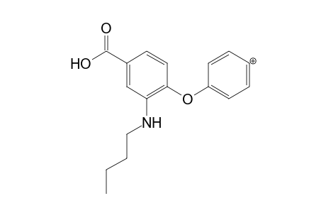 Bumetanide MS3_1