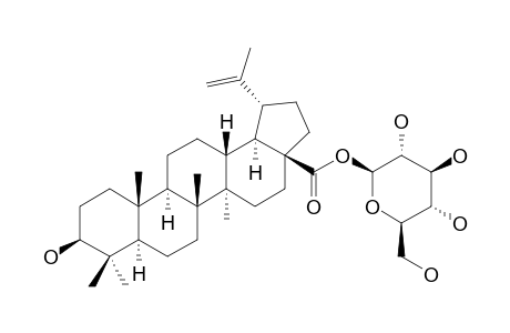 28-O-BETA-D-GLUCOPYRANOSYL-3-BETA-HYDROXY-LUP-20(29)-EN-28-OIC-ACID