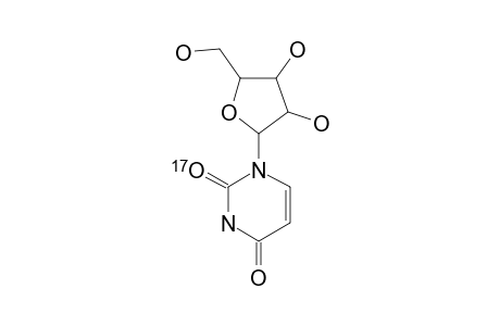 [2-17O]-URIDINE