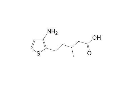 5-(3-Amino-thiophen-2-yl)-3-methyl-pentanoic acid