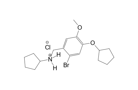 N-[2-bromo-4-(cyclopentyloxy)-5-methoxybenzyl]cyclopentanaminium chloride